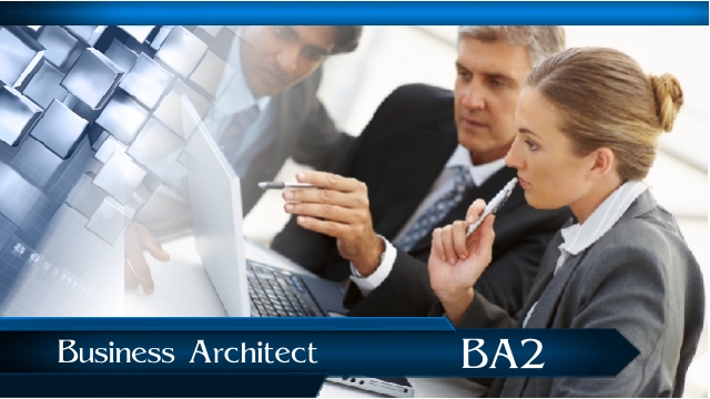 Business Architect BA2