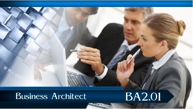 Business Architect BA2.01